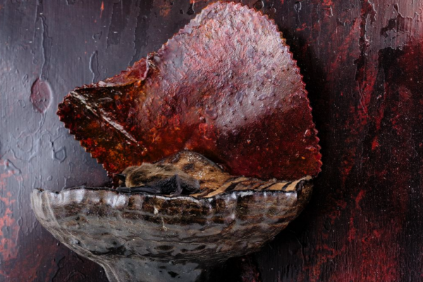 Capture d’écran 2025-11-01 à 07.39.17