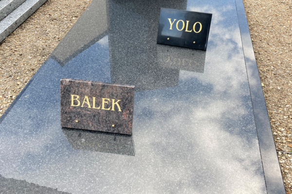 Capture d’écran 2024-09-30 à 12.38.01